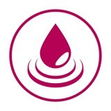 Immagine rappresentativa